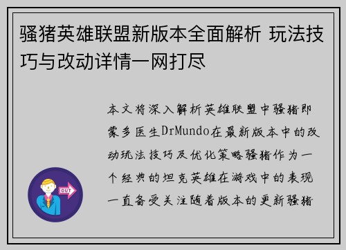 骚猪英雄联盟新版本全面解析 玩法技巧与改动详情一网打尽
